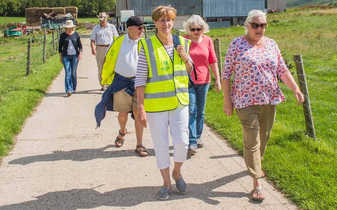 Dorset Health Walks 2024 Cattistock Community Website