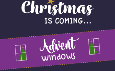 Cattistock Advent Windows are back!